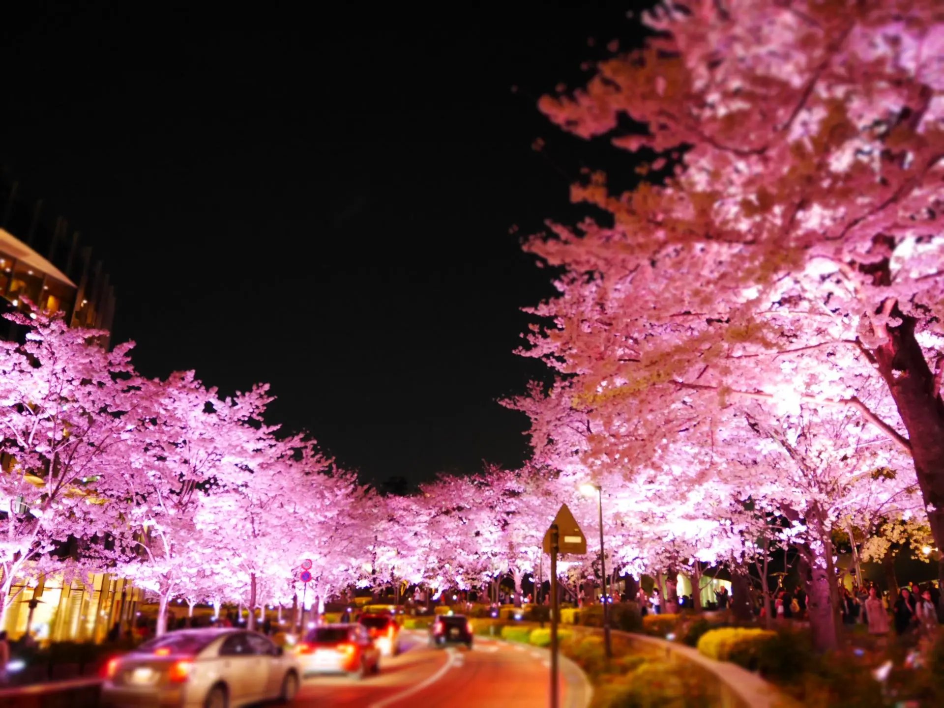 🌳 히노키초 공원 이미지 5